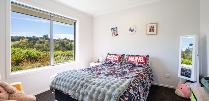 Big Kid & Little Kid Paradise – Close to Mapua