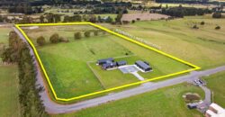 Luxury, Land, and the Ultimate Shed Setup