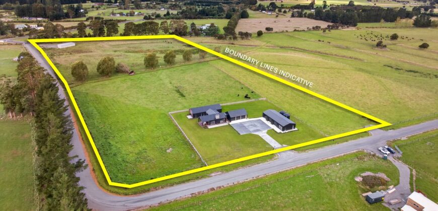 Luxury, Land, and the Ultimate Shed Setup