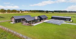 Luxury, Land, and the Ultimate Shed Setup