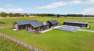 Luxury, Land, and the Ultimate Shed Setup