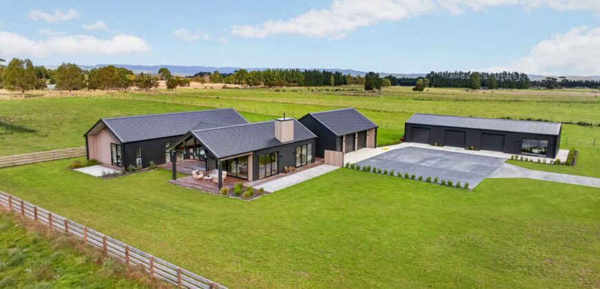 Luxury, Land, and the Ultimate Shed Setup