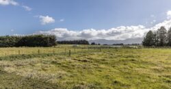 Country living – Close to town