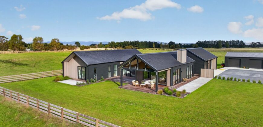Luxury, Land, and the Ultimate Shed Setup