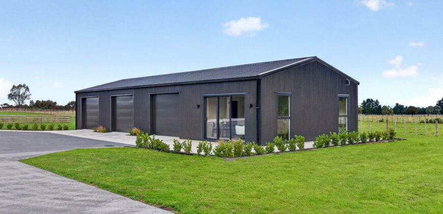 Luxury, Land, and the Ultimate Shed Setup