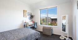 Big Kid & Little Kid Paradise – Close to Mapua