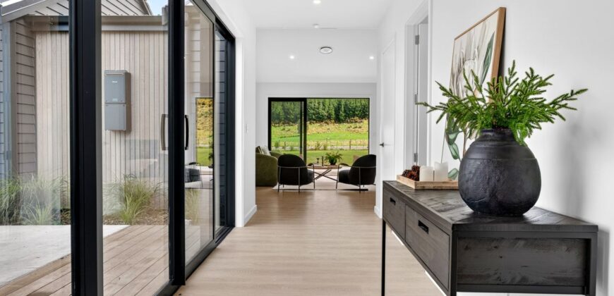 Luxury, Land, and the Ultimate Shed Setup