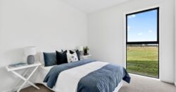 Luxury, Land, and the Ultimate Shed Setup