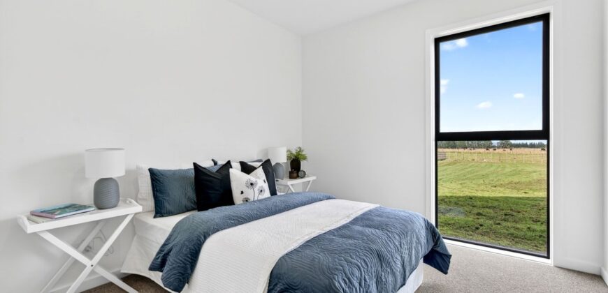 Luxury, Land, and the Ultimate Shed Setup