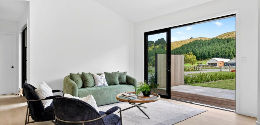 Luxury, Land, and the Ultimate Shed Setup