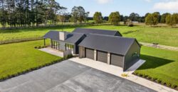 Luxury, Land, and the Ultimate Shed Setup