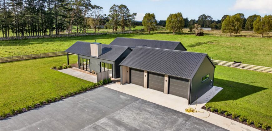 Luxury, Land, and the Ultimate Shed Setup