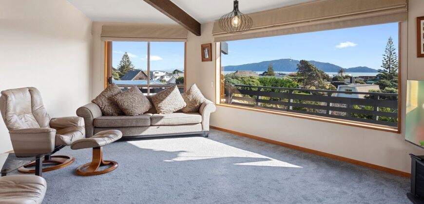 Character Living with Captivating Views