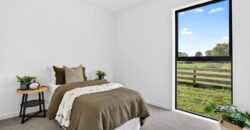 Luxury, Land, and the Ultimate Shed Setup