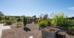 Big Kid & Little Kid Paradise – Close to Mapua