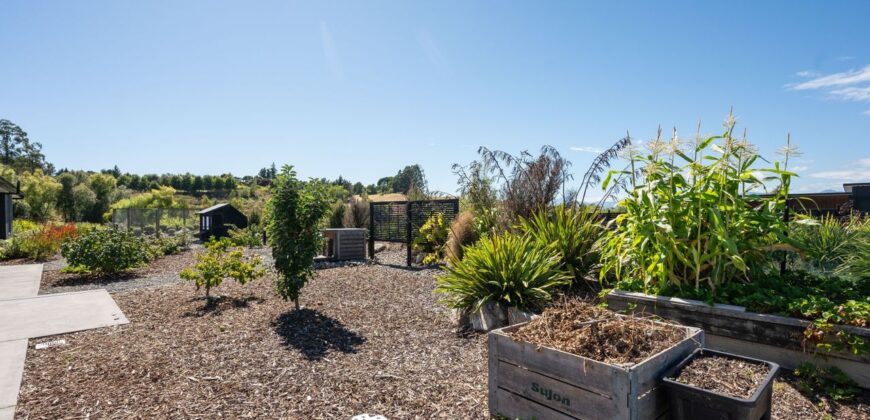 Big Kid & Little Kid Paradise – Close to Mapua