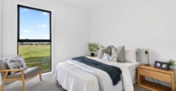 Luxury, Land, and the Ultimate Shed Setup