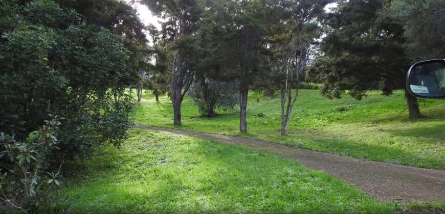 1075m2 Section on View Road, Ostend, Waiheke Island