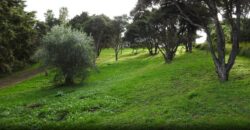1075m2 Section on View Road, Ostend, Waiheke Island