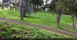 1075m2 Section on View Road, Ostend, Waiheke Island