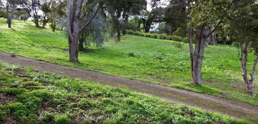 1075m2 Section on View Road, Ostend, Waiheke Island